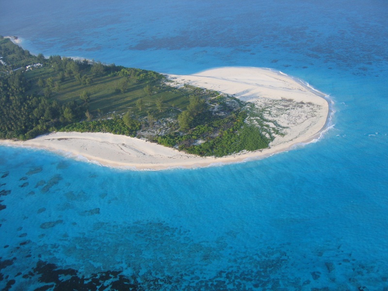 File:Bird Island 004.jpg