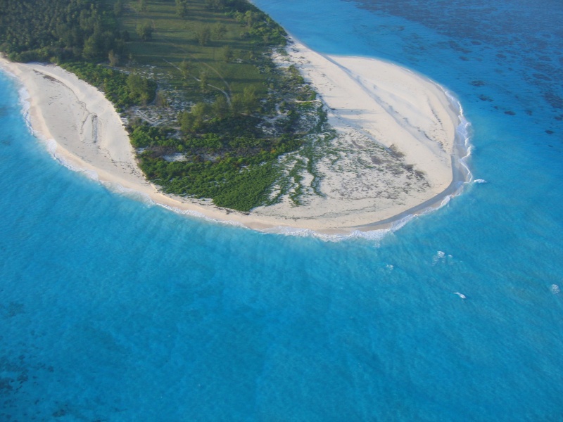 File:Bird Island 005.jpg