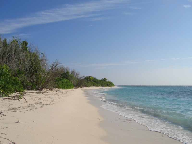 File:Bird Island 007.jpg