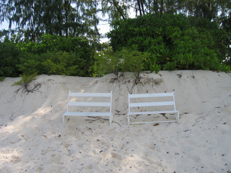 File:Bird Island 011.jpg