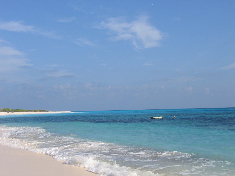 File:Bird Island 014.jpg