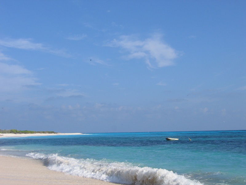 File:Bird Island 015.jpg