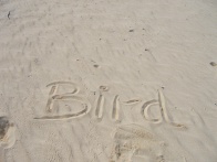 Bird Island 019.jpg