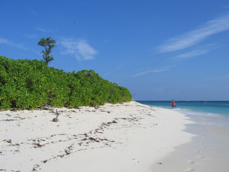 File:Bird Island 024.jpg