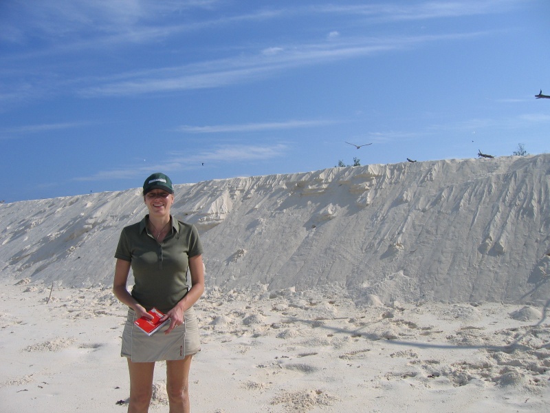 File:Bird Island 025.jpg