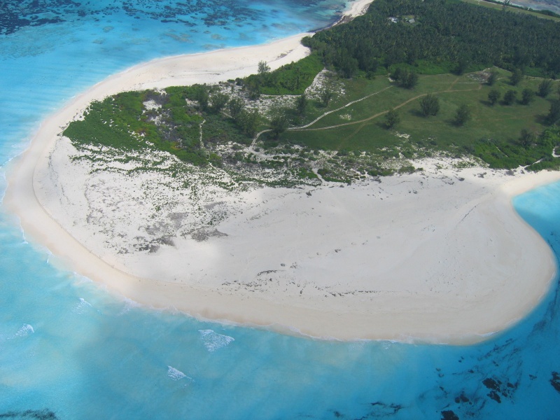 File:Bird Island 031.jpg