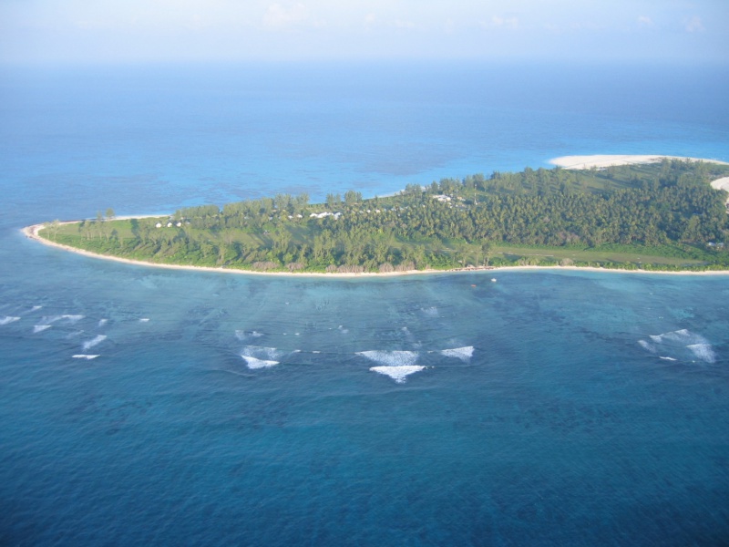 File:Bird Island 034.jpg