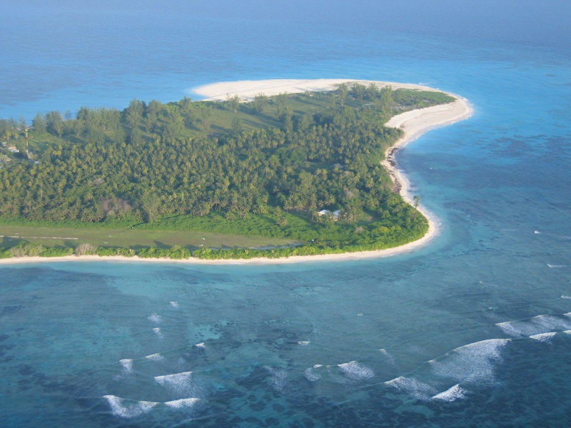 File:Bird Island 035.jpg