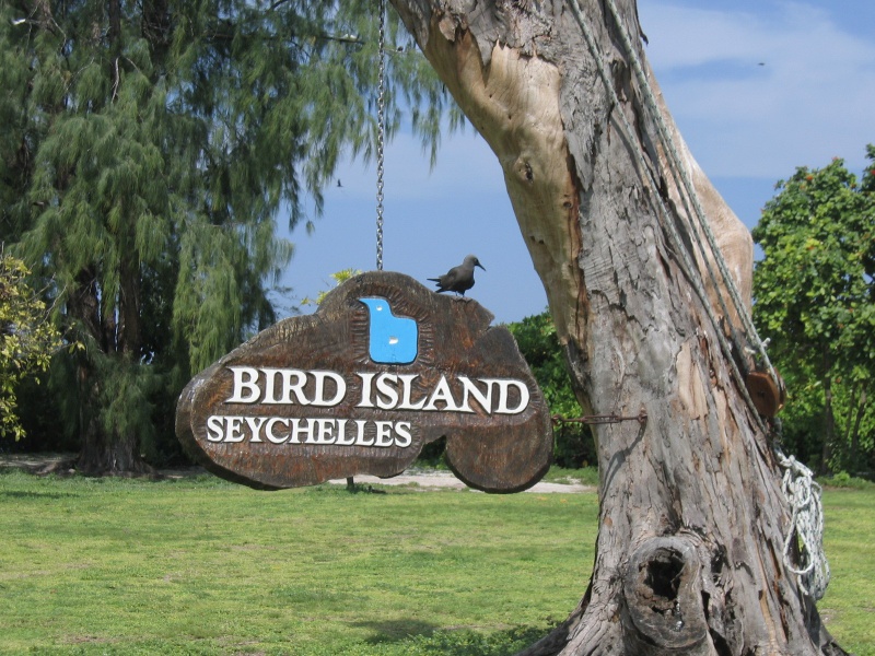 File:Bird Island 036.jpg