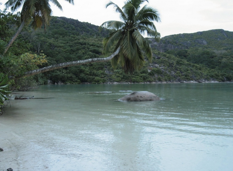 File:Cap Ternay Mahe 001.jpg