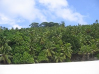 Grand Anse North Island 006.jpg