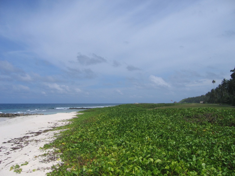 File:La Cour Fregate 003.jpg