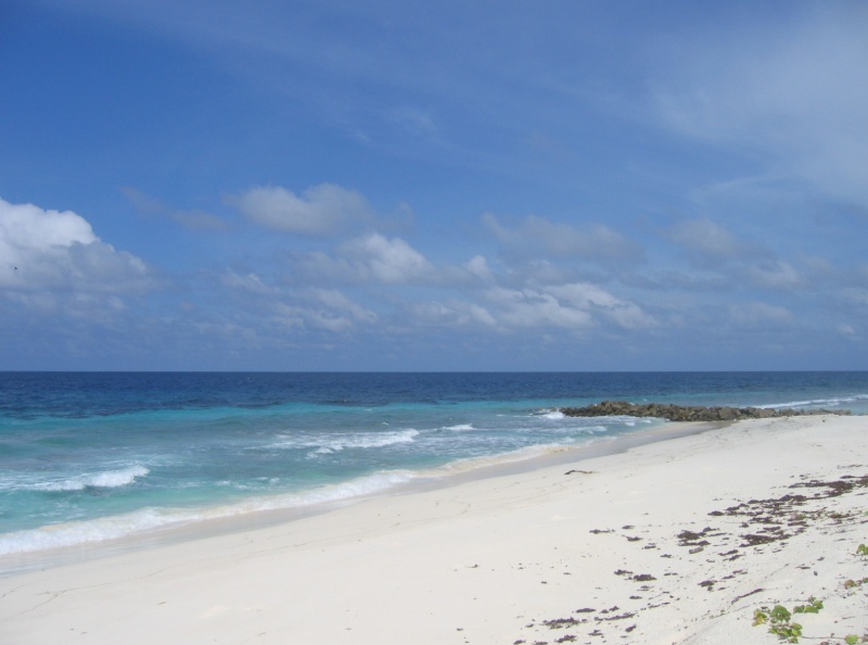 File:La Cour Fregate 009.jpg