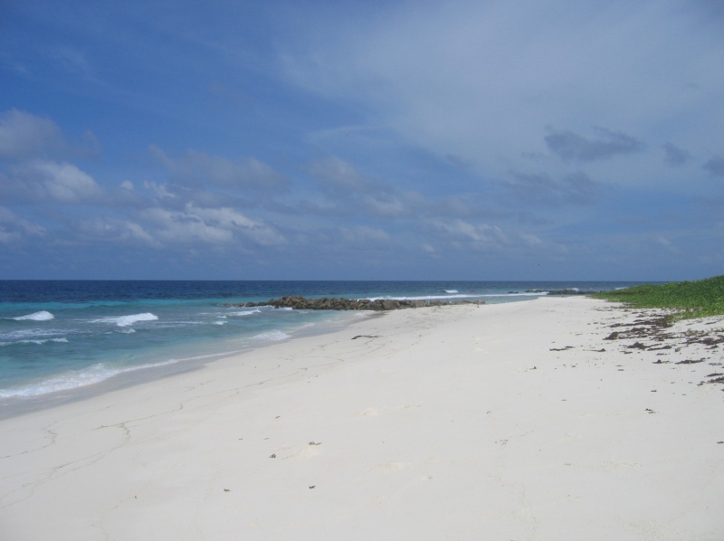 File:La Cour Fregate 010.jpg